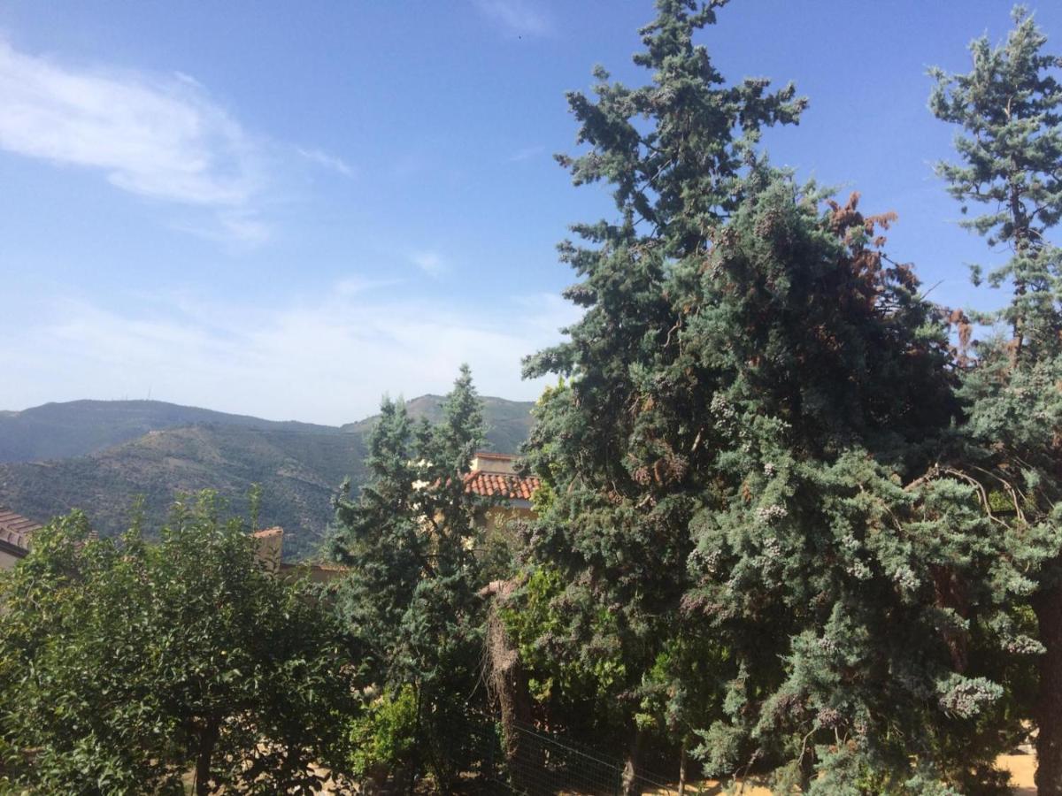 Palazzo Pascale Bed & Breakfast Casal Sottano Dış mekan fotoğraf