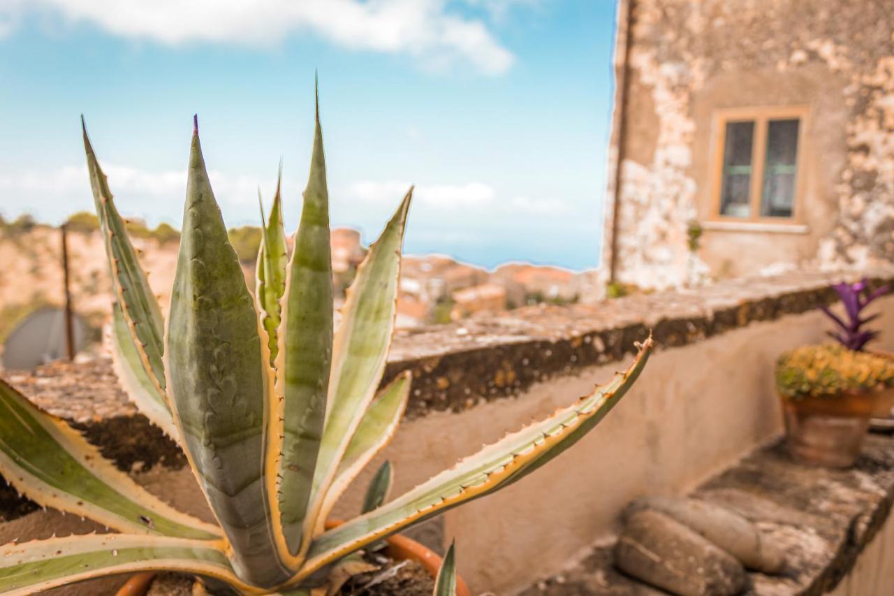 Palazzo Pascale Bed & Breakfast Casal Sottano Dış mekan fotoğraf